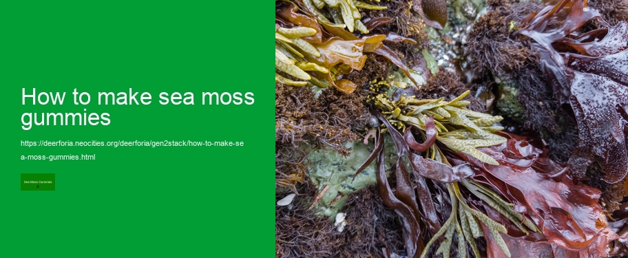 gummy sea moss
